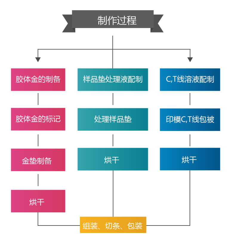 膠體金試紙條的制備過(guò)程