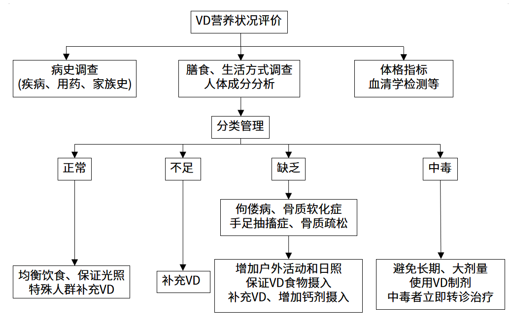 維生素D營(yíng)養(yǎng)狀況人群篩查的實(shí)施流程